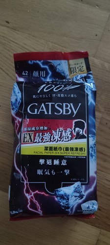 Kühlende tücher gatsby ice - tücher,